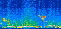 /calipso-imagery/data/BROWSE/production/V5-00/2010-01-08/2010-01-08_08-43-16_V5.00_2_thmb.png image missing
