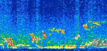 /calipso-imagery/data/BROWSE/production/V5-00/2010-01-08/2010-01-08_16-57-43_V5.00_2_thmb.png image missing