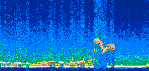 /calipso-imagery/data/BROWSE/production/V5-00/2010-01-08/2010-01-08_20-15-28_V5.00_3_thmb.png image missing