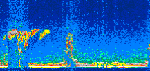 /calipso-imagery/data/BROWSE/production/V5-00/2010-01-08/2010-01-08_23-33-18_V5.00_3_thmb.png image missing