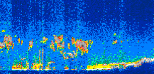 /calipso-imagery/data/BROWSE/production/V5-00/2010-01-18/2010-01-18_06-03-03_V5.00_3_thmb.png image missing