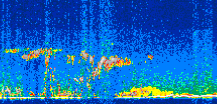 /calipso-imagery/data/BROWSE/production/V5-00/2010-01-18/2010-01-18_07-41-53_V5.00_3_thmb.png image missing