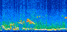 /calipso-imagery/data/BROWSE/production/V5-00/2010-01-18/2010-01-18_19-14-10_V5.00_2_thmb.png image missing