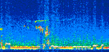 /calipso-imagery/data/BROWSE/production/V5-00/2010-01-18/2010-01-18_22-31-55_V5.00_3_thmb.png image missing