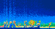 /calipso-imagery/data/BROWSE/production/V5-00/2010-01-18/2010-01-18_22-31-55_V5.00_4_thmb.png image missing