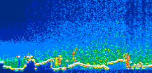 /calipso-imagery/data/BROWSE/production/V5-00/2010-01-19/2010-01-19_01-49-41_V5.00_1_thmb.png image missing