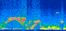 /calipso-imagery/data/BROWSE/production/V5-00/2010-01-19/2010-01-19_03-28-36_V5.00_2_thmb.png image missing