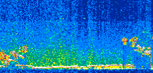 /calipso-imagery/data/BROWSE/production/V5-00/2010-01-19/2010-01-19_10-04-07_V5.00_2_thmb.png image missing