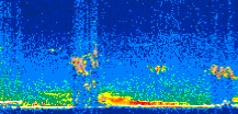 /calipso-imagery/data/BROWSE/production/V5-00/2010-01-19/2010-01-19_13-21-52_V5.00_3_thmb.png image missing