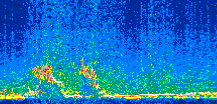 /calipso-imagery/data/BROWSE/production/V5-00/2010-01-19/2010-01-19_19-57-28_V5.00_2_thmb.png image missing