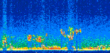 /calipso-imagery/data/BROWSE/production/V5-00/2010-01-19/2010-01-19_21-36-19_V5.00_2_thmb.png image missing
