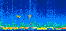 /calipso-imagery/data/BROWSE/production/V5-00/2010-01-19/2010-01-19_21-36-19_V5.00_3_thmb.png image missing