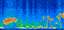 /calipso-imagery/data/BROWSE/production/V5-00/2010-01-23/2010-01-23_09-39-40_V5.00_2_thmb.png image missing