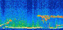/calipso-imagery/data/BROWSE/production/V5-00/2010-01-23/2010-01-23_16-15-11_V5.00_2_thmb.png image missing
