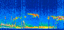 /calipso-imagery/data/BROWSE/production/V5-00/2010-01-23/2010-01-23_16-15-11_V5.00_3_thmb.png image missing