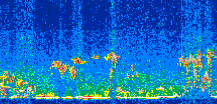 /calipso-imagery/data/BROWSE/production/V5-00/2010-01-23/2010-01-23_17-54-06_V5.00_2_thmb.png image missing