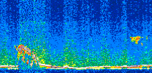 /calipso-imagery/data/BROWSE/production/V5-00/2010-01-23/2010-01-23_19-32-56_V5.00_2_thmb.png image missing