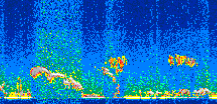 /calipso-imagery/data/BROWSE/production/V5-00/2010-01-23/2010-01-23_21-11-51_V5.00_2_thmb.png image missing