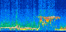/calipso-imagery/data/BROWSE/production/V5-00/2010-01-23/2010-01-23_22-50-47_V5.00_2_thmb.png image missing