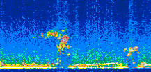 /calipso-imagery/data/BROWSE/production/V5-00/2010-01-23/2010-01-23_22-50-47_V5.00_3_thmb.png image missing