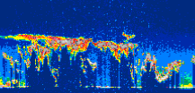 /calipso-imagery/data/BROWSE/production/V5-00/2010-01-31/2010-01-31_04-46-30_V5.00_3_thmb.png image missing