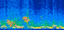 /calipso-imagery/data/BROWSE/production/V5-00/2010-01-31/2010-01-31_07-11-50_V5.00_2_thmb.png image missing