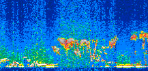 /calipso-imagery/data/BROWSE/production/V5-00/2010-01-31/2010-01-31_08-50-40_V5.00_2_thmb.png image missing