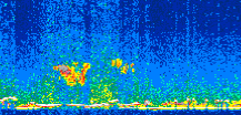 /calipso-imagery/data/BROWSE/production/V5-00/2010-01-31/2010-01-31_13-47-21_V5.00_2_thmb.png image missing