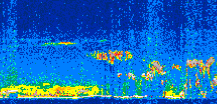 /calipso-imagery/data/BROWSE/production/V5-00/2010-01-31/2010-01-31_13-47-21_V5.00_3_thmb.png image missing