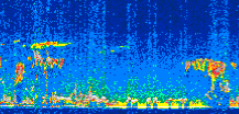 /calipso-imagery/data/BROWSE/production/V5-00/2010-01-31/2010-01-31_17-05-06_V5.00_3_thmb.png image missing