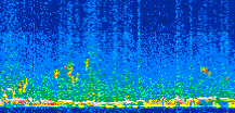 /calipso-imagery/data/BROWSE/production/V5-00/2010-01-31/2010-01-31_20-22-57_V5.00_2_thmb.png image missing