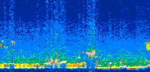 /calipso-imagery/data/BROWSE/production/V5-00/2010-01-31/2010-01-31_20-22-57_V5.00_3_thmb.png image missing