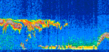 /calipso-imagery/data/BROWSE/production/V5-00/2010-01-31/2010-01-31_23-40-42_V5.00_3_thmb.png image missing