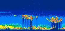 /calipso-imagery/data/BROWSE/production/V5-00/2010-02-01/2010-02-01_02-12-08_V5.00_3_thmb.png image missing