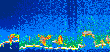 /calipso-imagery/data/BROWSE/production/V5-00/2010-02-01/2010-02-01_04-37-23_V5.00_1_thmb.png image missing