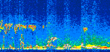 /calipso-imagery/data/BROWSE/production/V5-00/2010-02-01/2010-02-01_04-37-23_V5.00_3_thmb.png image missing