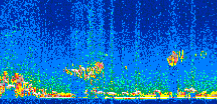 /calipso-imagery/data/BROWSE/production/V5-00/2010-02-01/2010-02-01_14-30-44_V5.00_2_thmb.png image missing