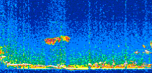 /calipso-imagery/data/BROWSE/production/V5-00/2010-02-01/2010-02-01_21-06-15_V5.00_2_thmb.png image missing