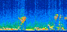 /calipso-imagery/data/BROWSE/production/V5-00/2010-02-07/2010-02-07_02-21-52_V5.00_2_thmb.png image missing