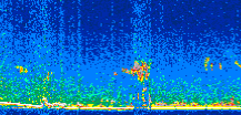 /calipso-imagery/data/BROWSE/production/V5-00/2010-02-07/2010-02-07_08-57-23_V5.00_2_thmb.png image missing