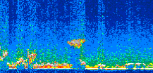 /calipso-imagery/data/BROWSE/production/V5-00/2010-02-09/2010-02-09_13-41-50_V5.00_2_thmb.png image missing