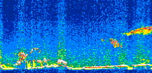 /calipso-imagery/data/BROWSE/production/V5-00/2010-02-09/2010-02-09_18-38-30_V5.00_2_thmb.png image missing