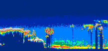 /calipso-imagery/data/BROWSE/production/V5-00/2010-02-09/2010-02-09_19-31-01_V5.00_2_thmb.png image missing