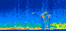 /calipso-imagery/data/BROWSE/production/V5-00/2010-05-06/2010-05-06_09-55-57_V5.00_2_thmb.png image missing