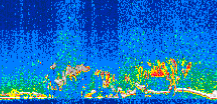 /calipso-imagery/data/BROWSE/production/V5-00/2010-05-06/2010-05-06_14-52-38_V5.00_3_thmb.png image missing