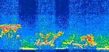 /calipso-imagery/data/BROWSE/production/V5-00/2010-05-07/2010-05-07_04-03-44_V5.00_3_thmb.png image missing
