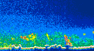 /calipso-imagery/data/BROWSE/production/V5-00/2010-05-07/2010-05-07_15-36-01_V5.00_4_thmb.png image missing