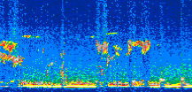 /calipso-imagery/data/BROWSE/production/V5-00/2010-05-08/2010-05-08_01-29-17_V5.00_2_thmb.png image missing