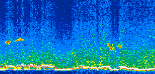 /calipso-imagery/data/BROWSE/production/V5-00/2010-05-08/2010-05-08_01-29-17_V5.00_3_thmb.png image missing