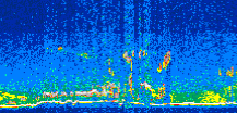 /calipso-imagery/data/BROWSE/production/V5-00/2010-05-08/2010-05-08_11-22-39_V5.00_2_thmb.png image missing